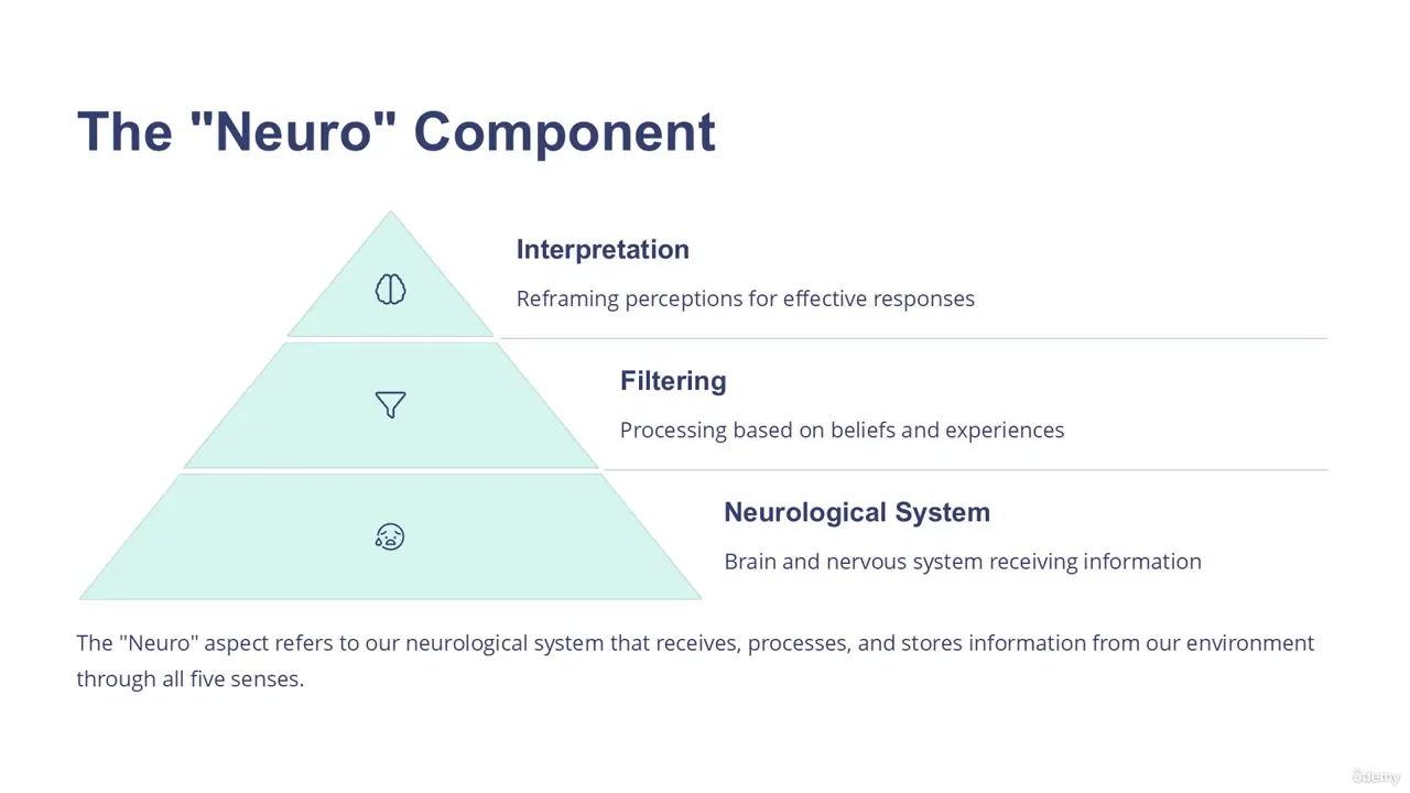A three-tiered pyramid diagram labeled The Neuro Component, showing icons for a brain, filter, and face with text definitions.